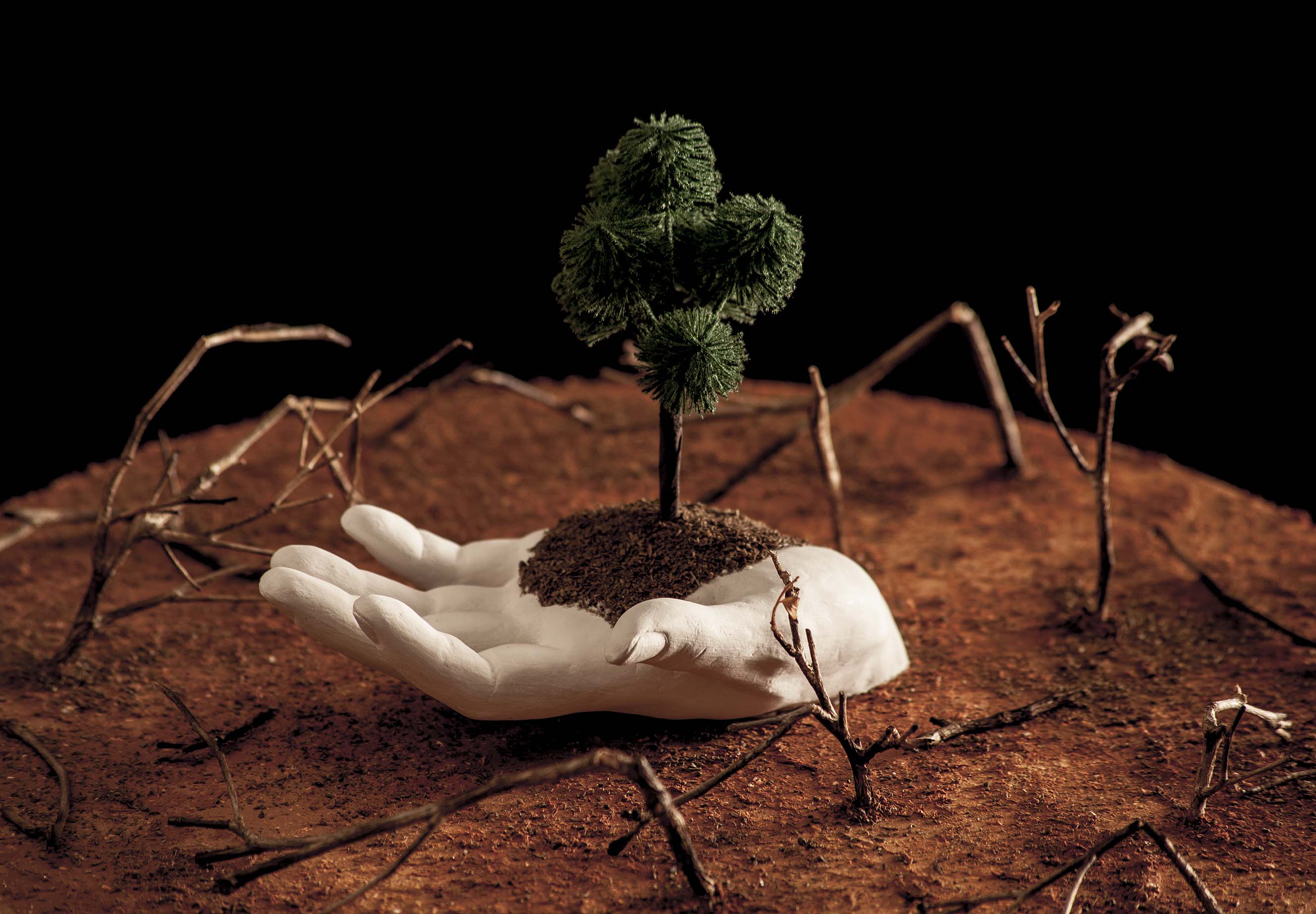 Líria Varne_Transformação_363